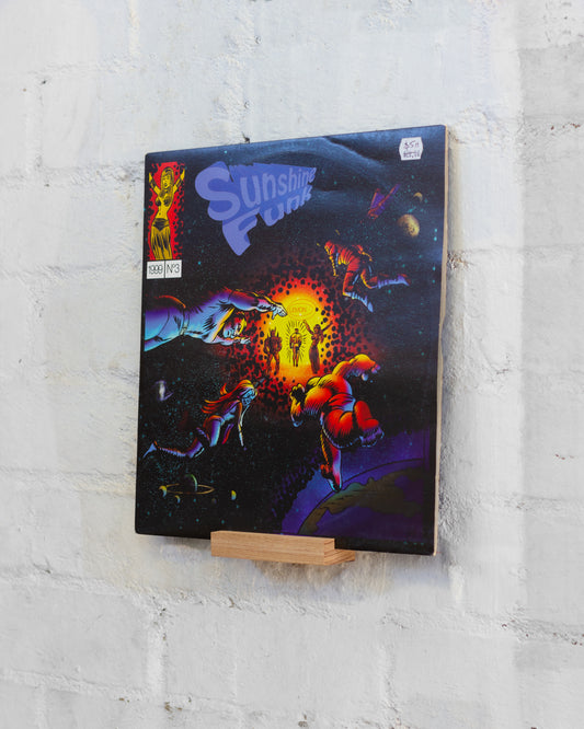 Small Vinyl Record Floating Display Shelf