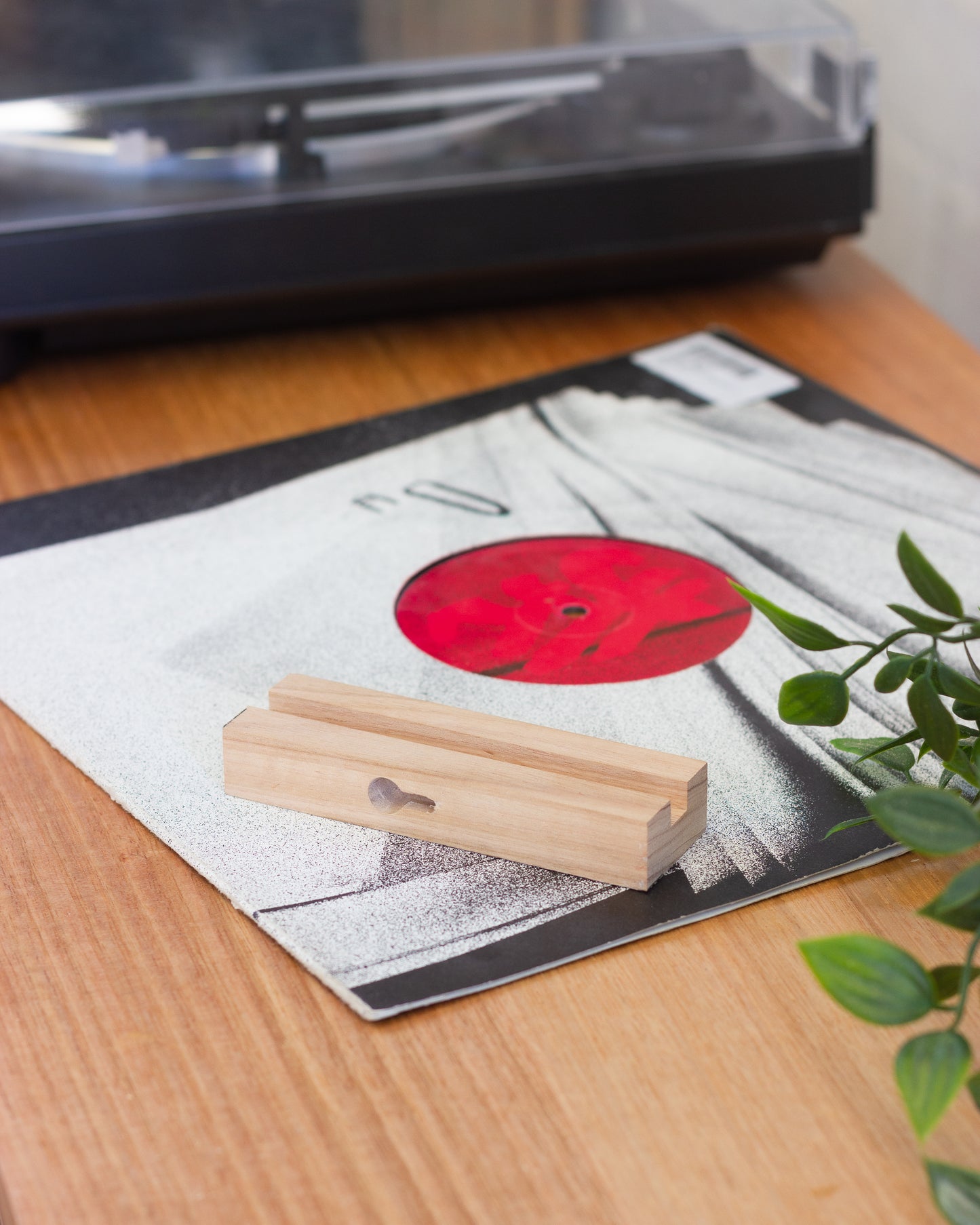 Small Vinyl Record Floating Display Shelf