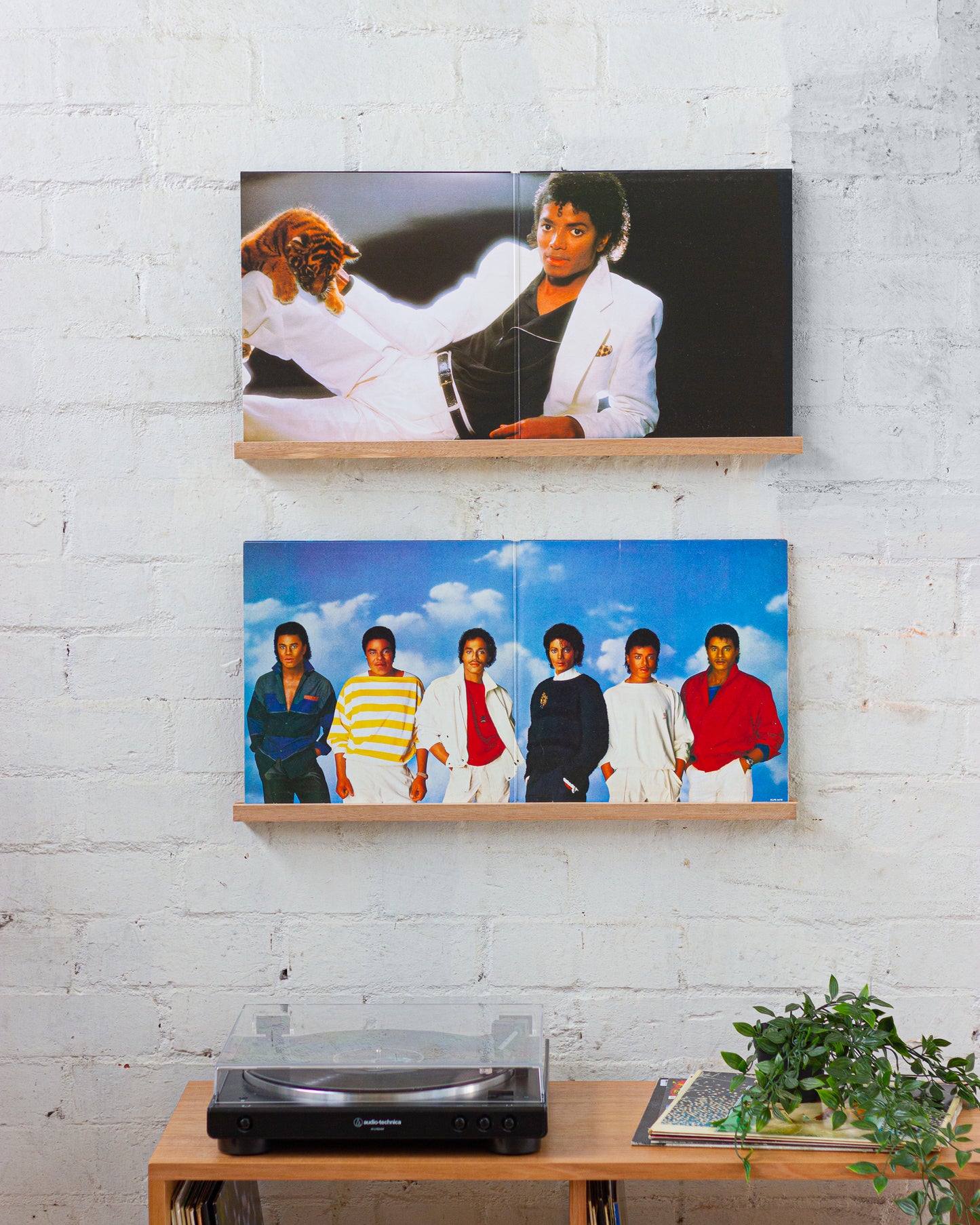 Double Vinyl Record Floating Display Shelf